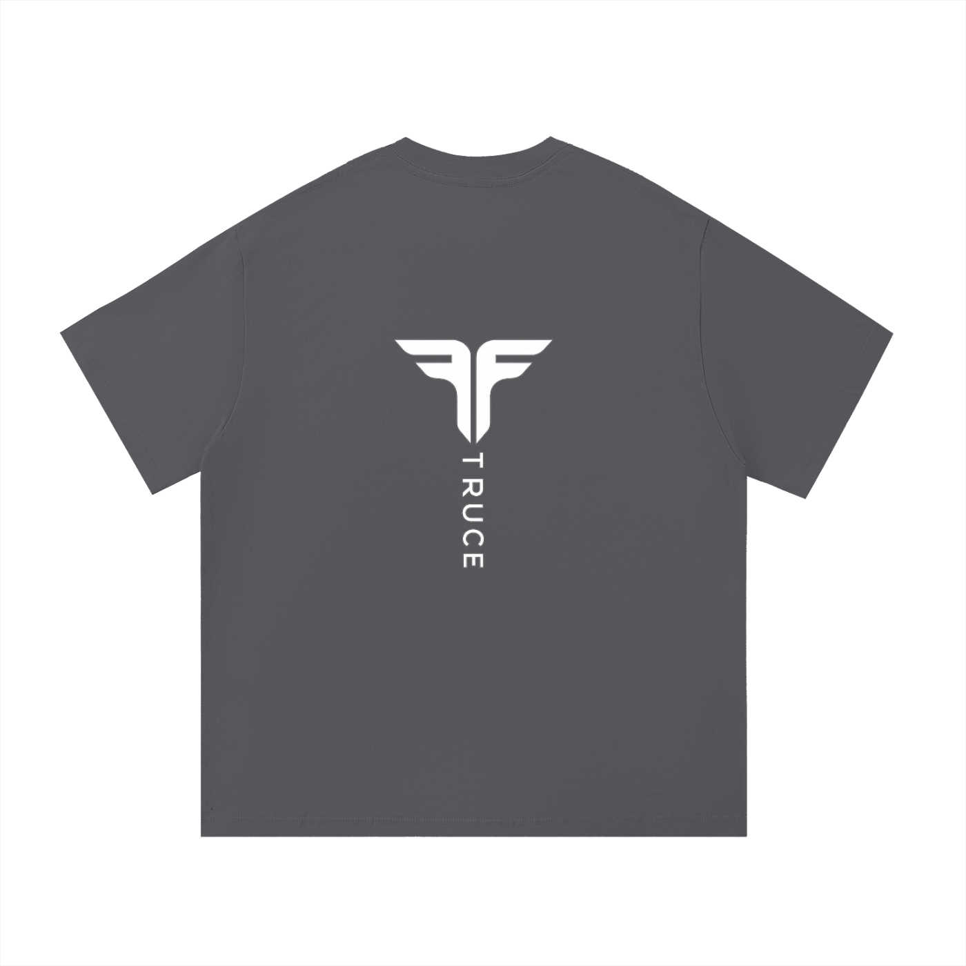 Truce Lifestyle | Logo Essential Cotton (260 g/m²) T-Shirt