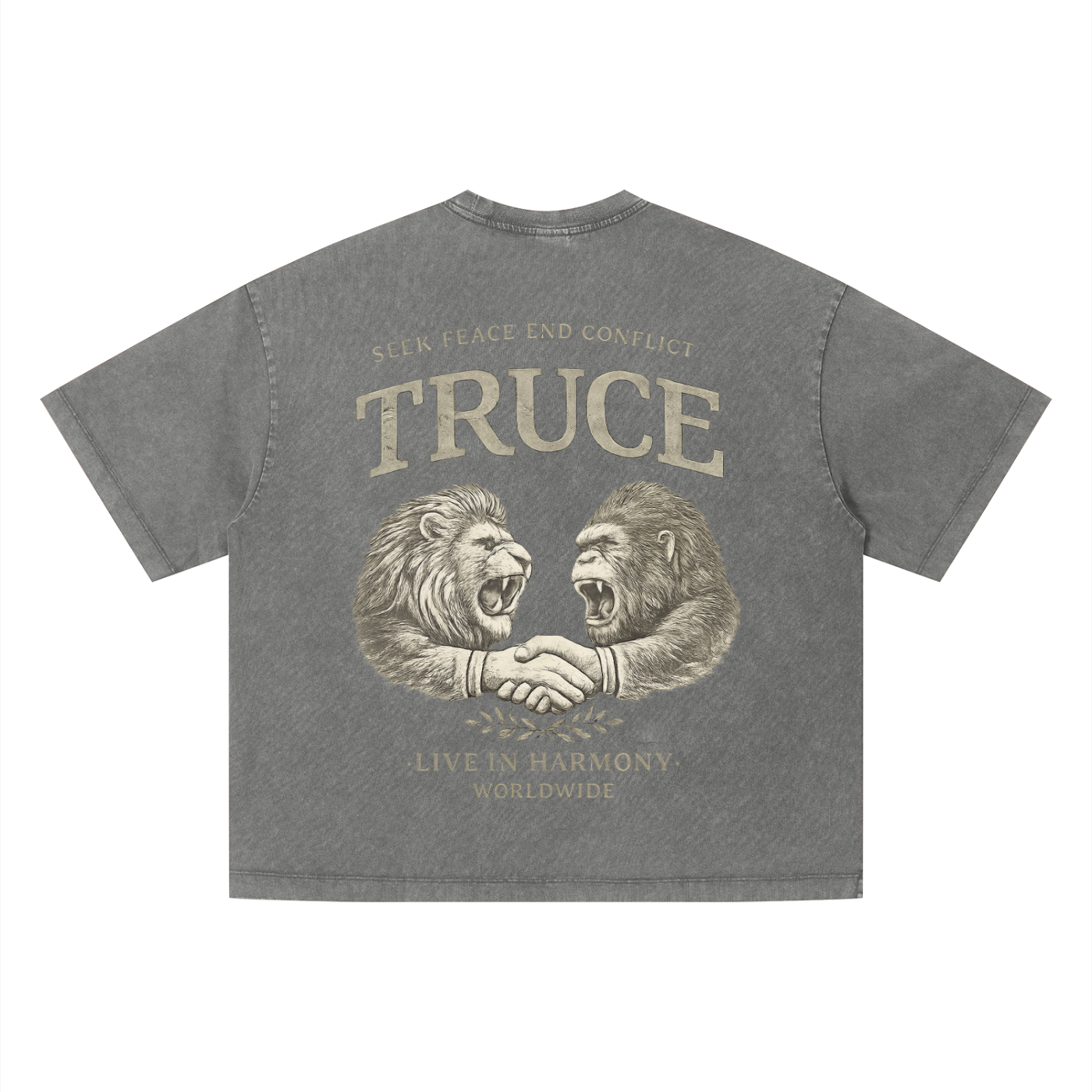 Truce Lifestyle | Unisex Vintage Wash Boxy (280 g/m²) T-Shirt