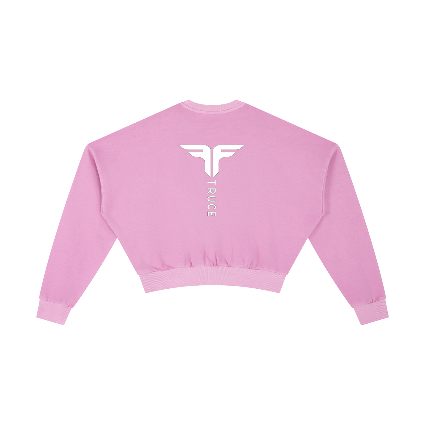 Truce Lifestyle | Sports Logo Vintage Washed Cropped (410 g/m²) Sweatshirt