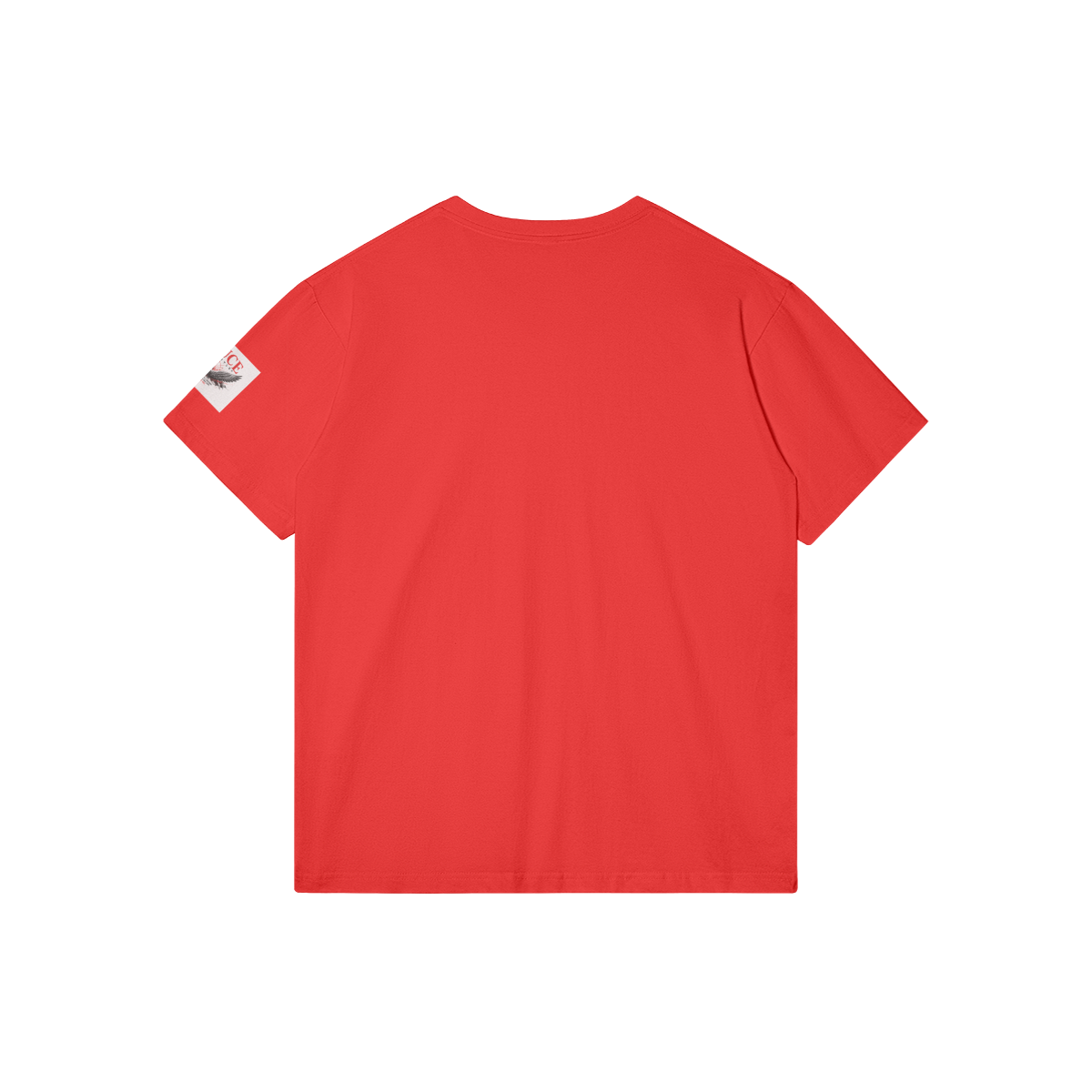 0-Y8C-Back Side