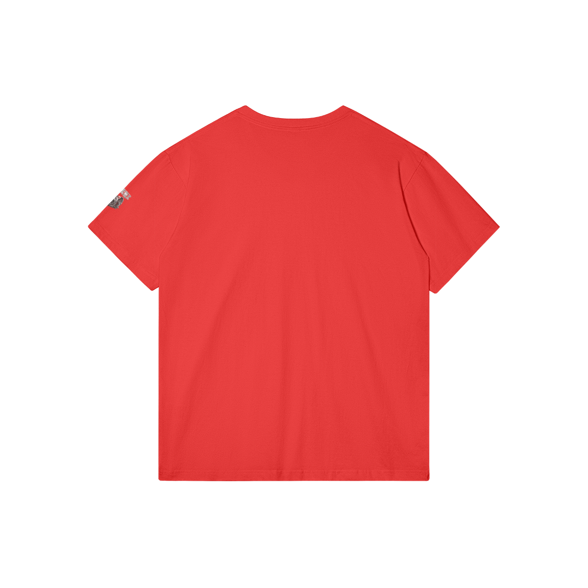 0-Y8C-Back Side