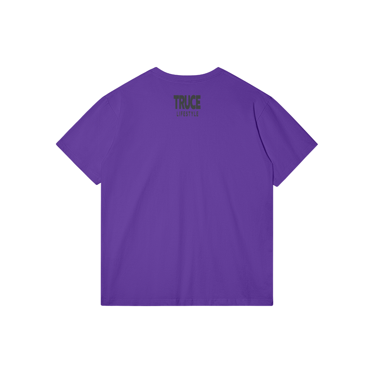 0-Y86-Back Side