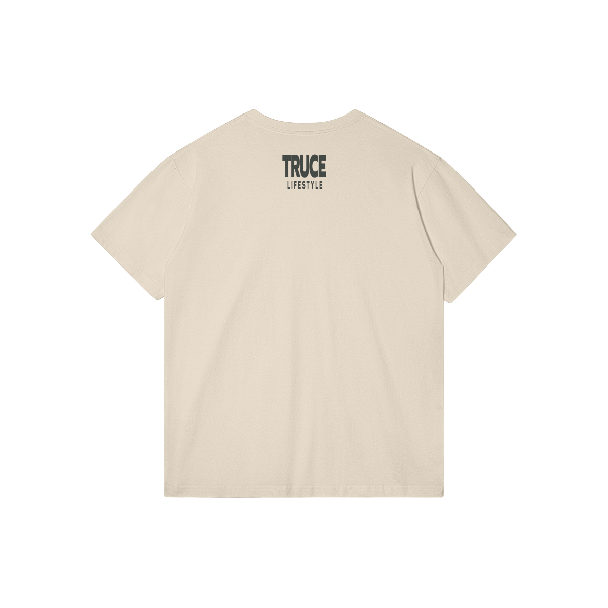 0-Y87-Back Side