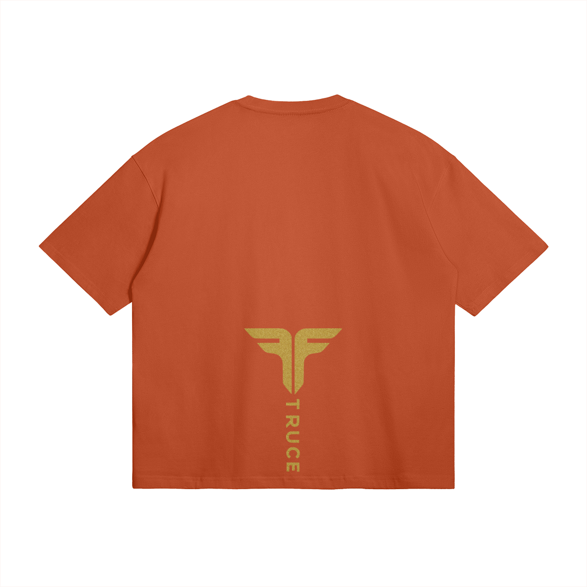 0-YBE-Back Side